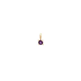 Birthstone Charm | Gold & Amethyst