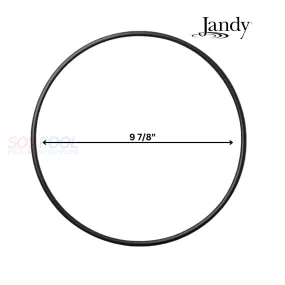 Jandy Backplate O-Ring For ePump and Stealth Pumps | R0446300